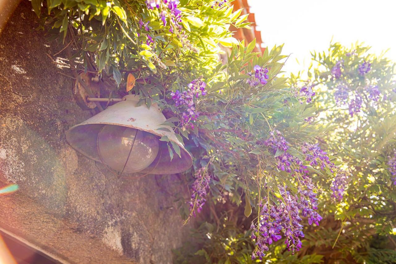 Le Mas Des Roches Proche Puy Du Fou Bed & Breakfast Saint-Paul-en-Pareds Екстериор снимка