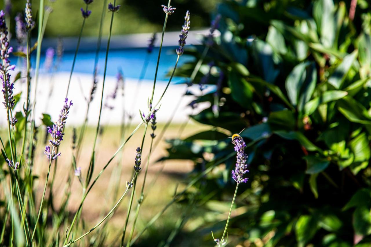 Le Mas Des Roches Proche Puy Du Fou Bed & Breakfast Saint-Paul-en-Pareds Екстериор снимка